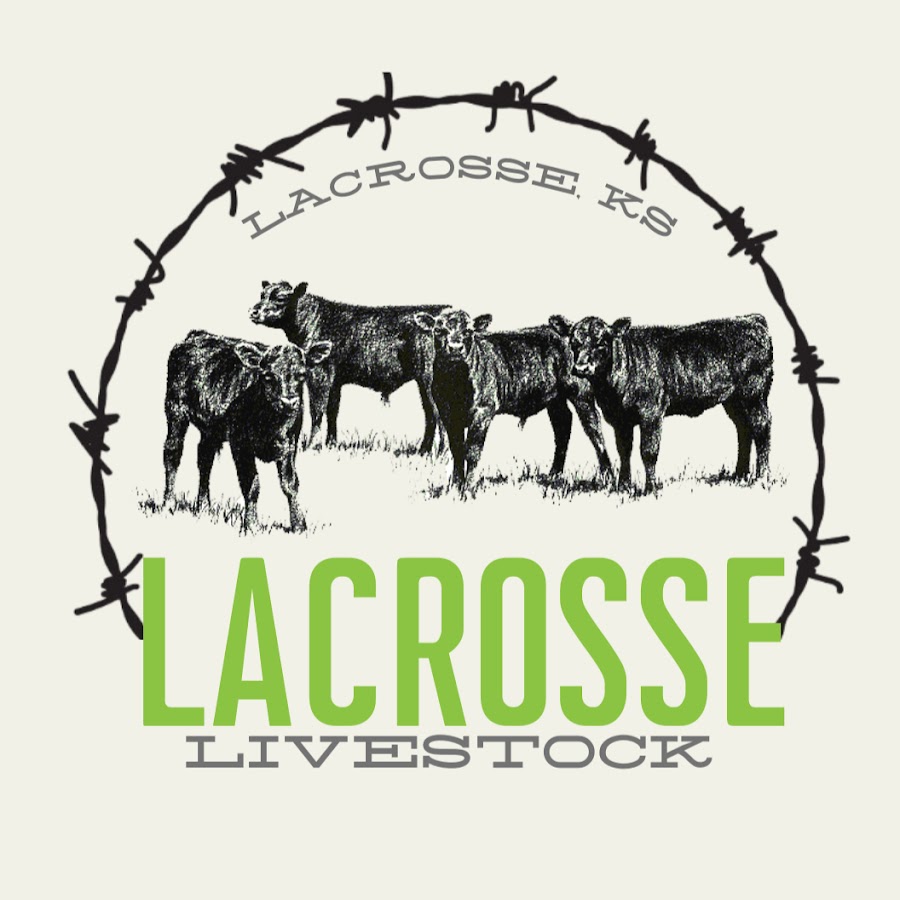 LaCrosse Livestock Market YouTube
