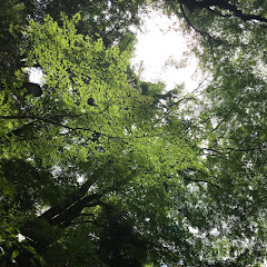 きたあき