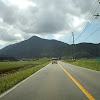 Niigata Repuru Channel