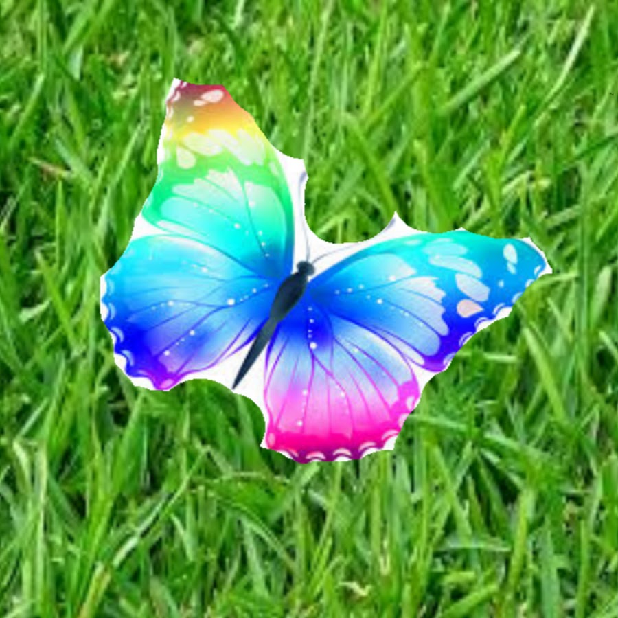 Aggressive Butterfly YouTube