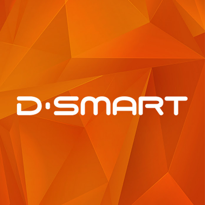 D-Smart Net Worth & Earnings (2024)