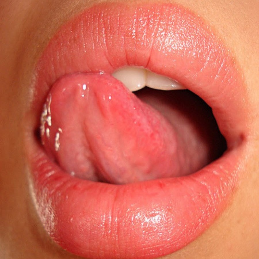 Половые губы снизу
