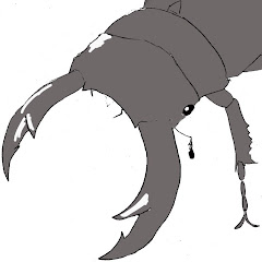 Knight bug The 昆虫王者