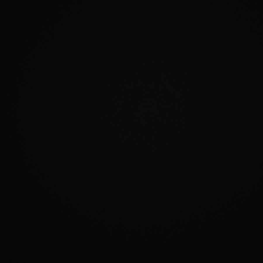 FOXY TOONS - YouTube