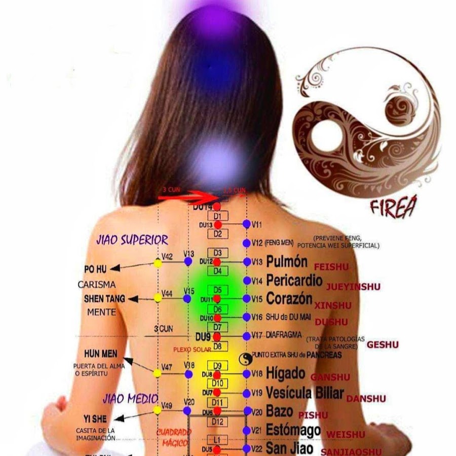 Физическая реабилитация при остеохондрозе шейного отдела позвоночника. Дипломная