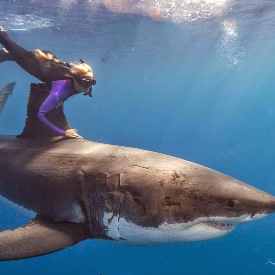 Diving Accidents Official YouTube