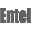 Entel Group