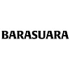 What could Barasuara buy with $100 thousand?