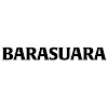 What could Barasuara buy with $100 thousand?