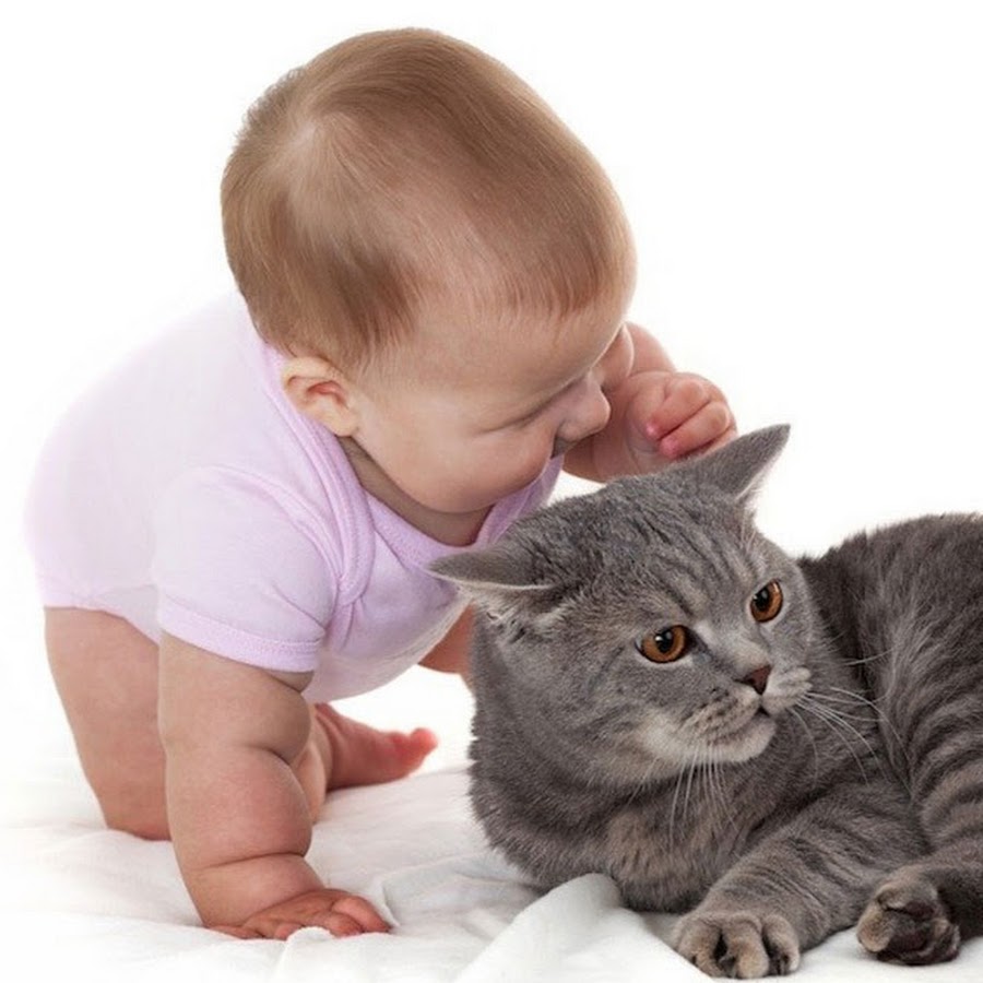 Кошка для детей