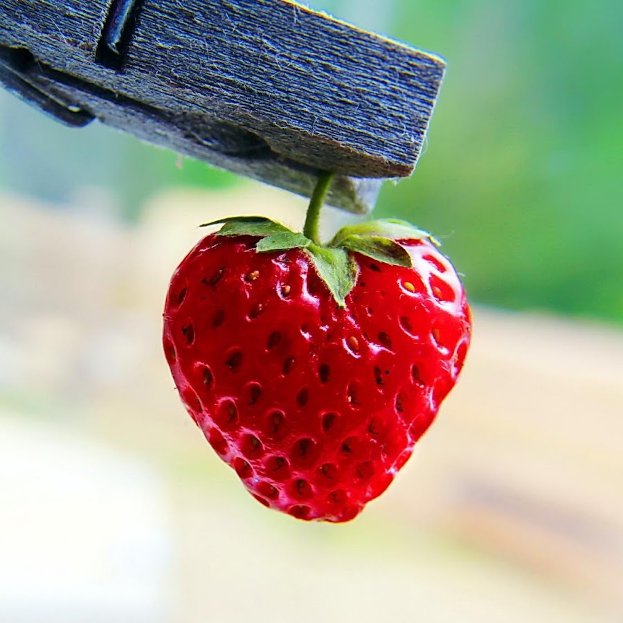 ��� ������� �������� ����������, ������