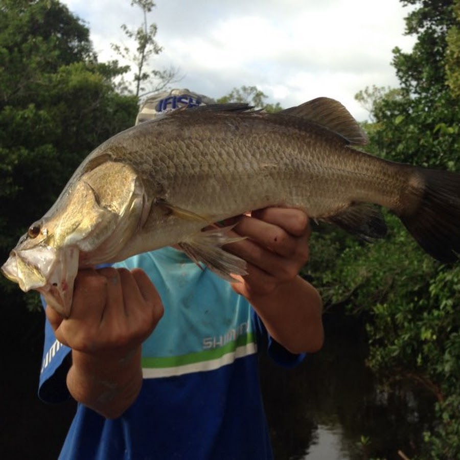 STEELES FISHING FNQ 