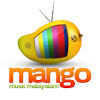 What could Mango Music Malayalam buy with $383.87 thousand?
