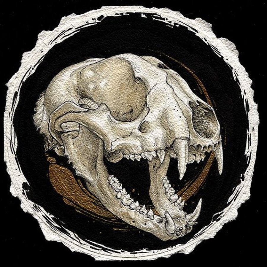 Mr. Mischief YouTube