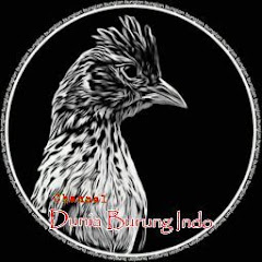 Playtube Pk Ultimate Video Sharing Website