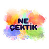 What could Ne çektik buy with $149.4 thousand?