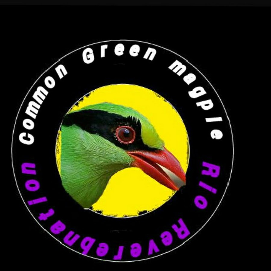 Offical Dunia Burung Youtube