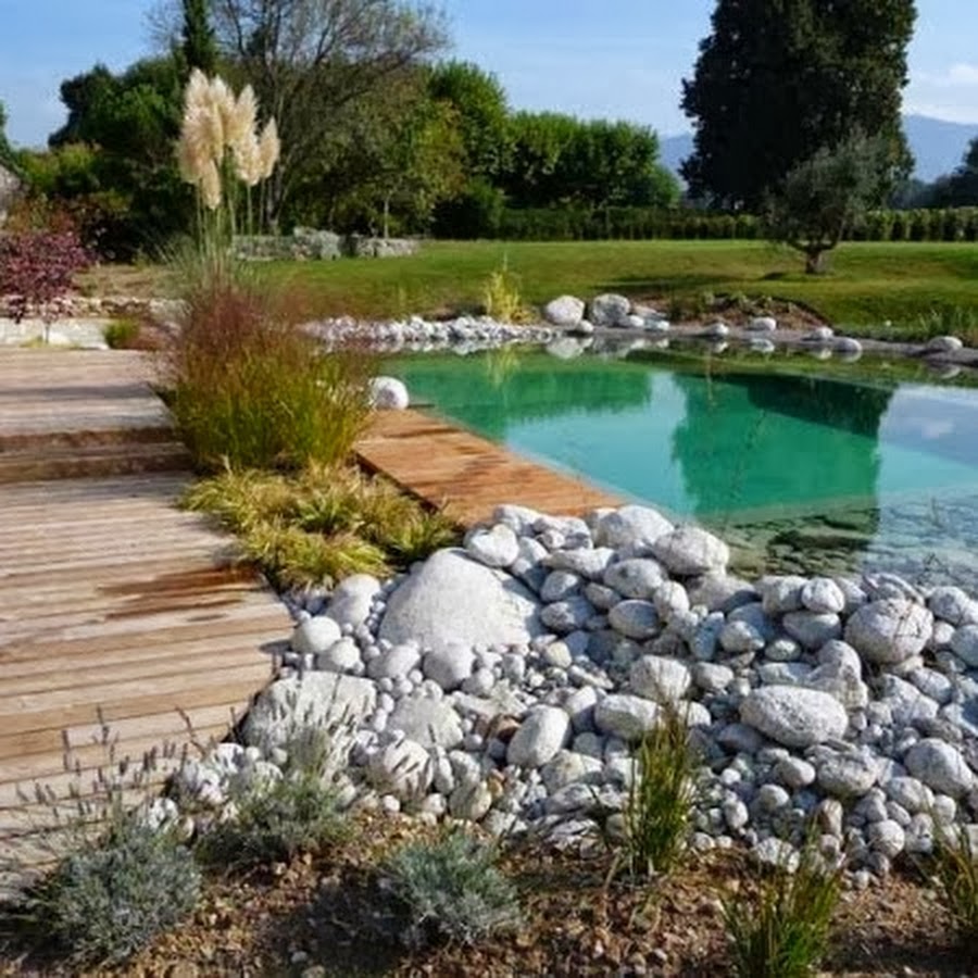 Construire Piscine Naturelle YouTube