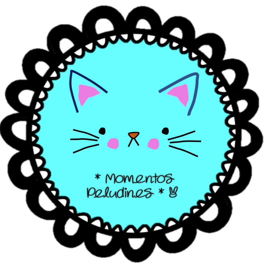 My Funny Cats!* 