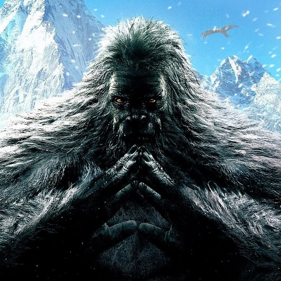 The Yeti YouTube