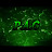 P.A.G GAMING