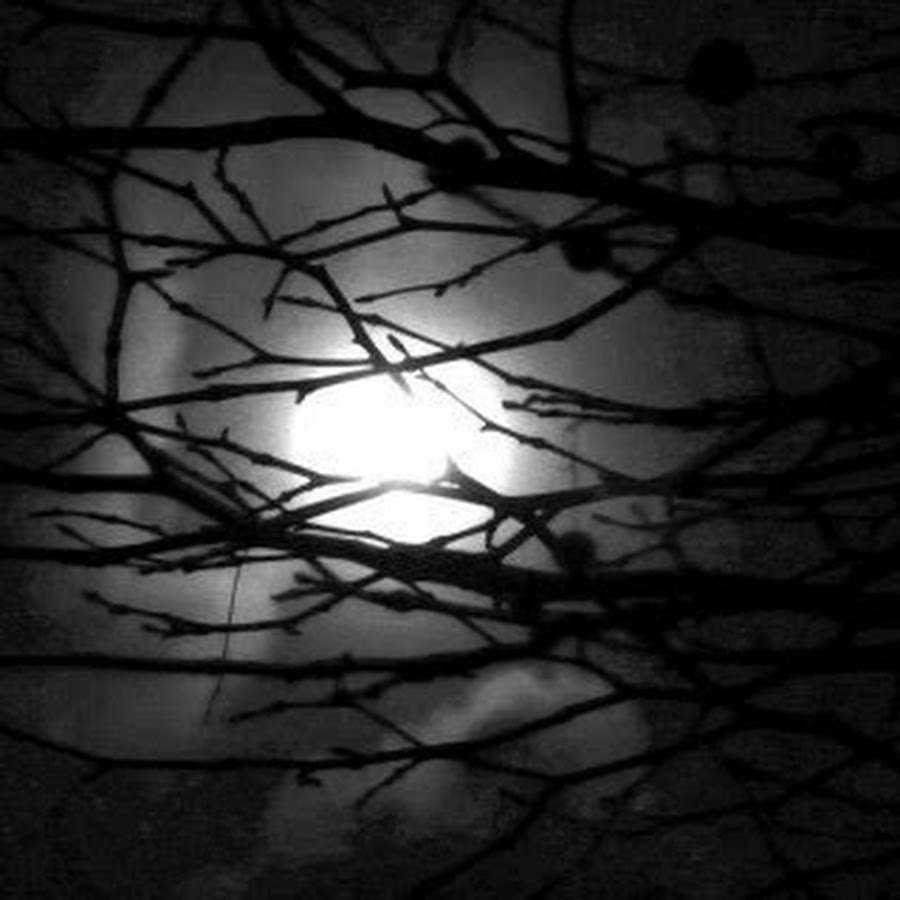 Для фонка картинки