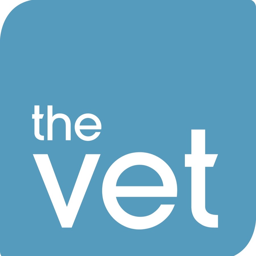 The Vet YouTube