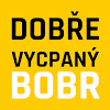 What could Dobře vycpaný bobr buy with $100 thousand?