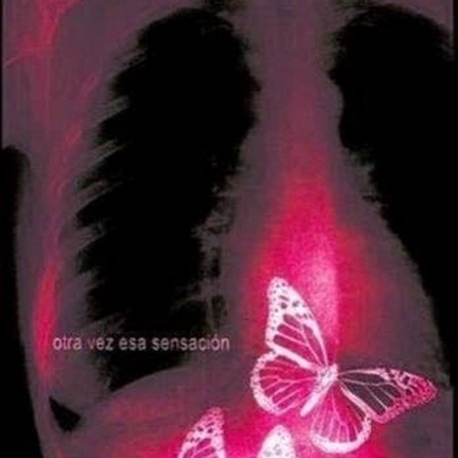 Бабочки в моем животе это любовь. Бабочки в животе. Бабочки внутри. Рентген бабочки. Babichka v jivote.