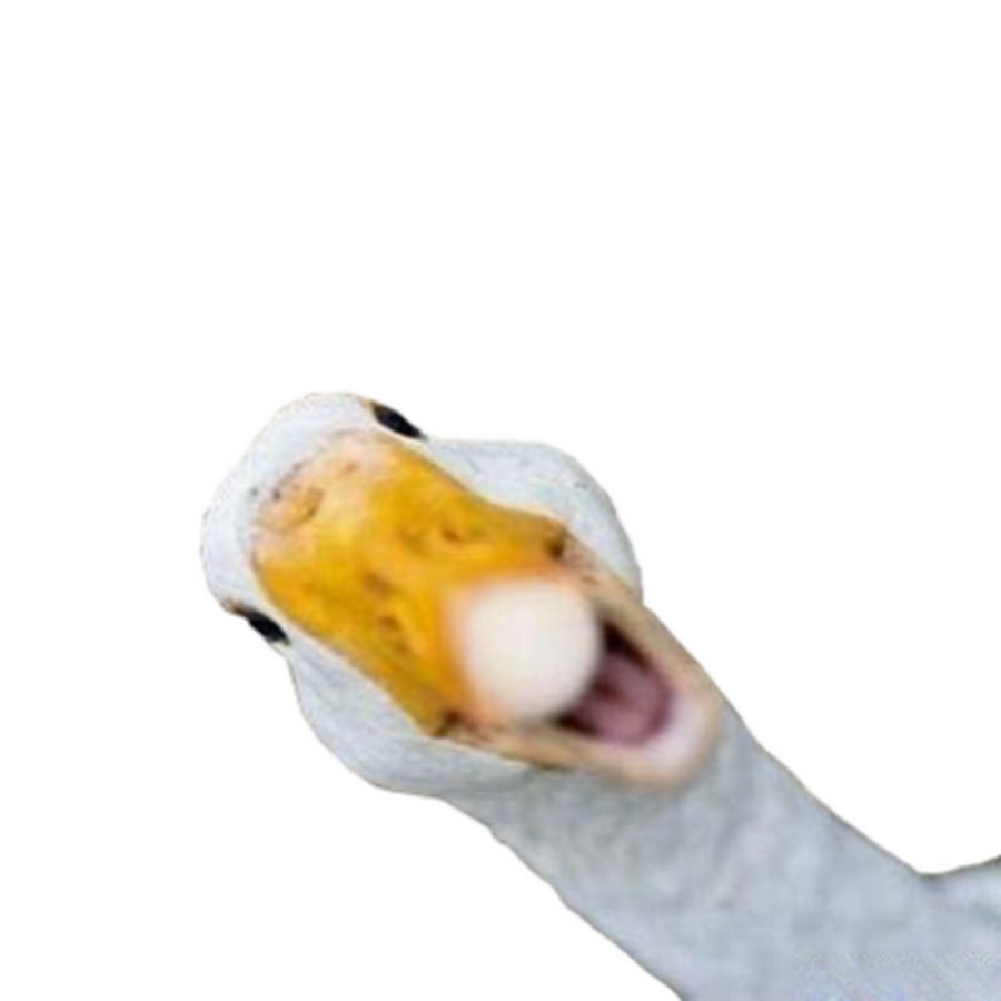 Horrible Goose