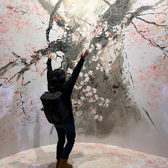 分福楽雲