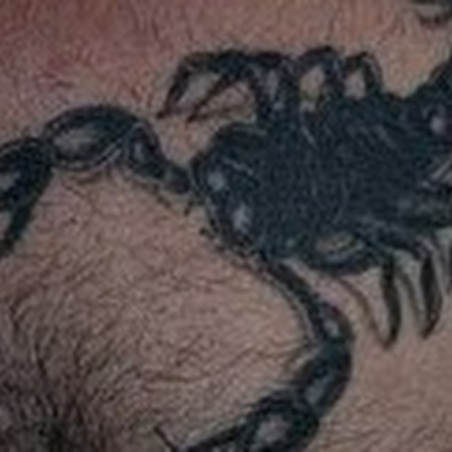 Скорпион s1e6. Татуировка Скорпион. Татушка Скорпион. Тату Скорпион на пояснице. Интимное тату скорпиона.