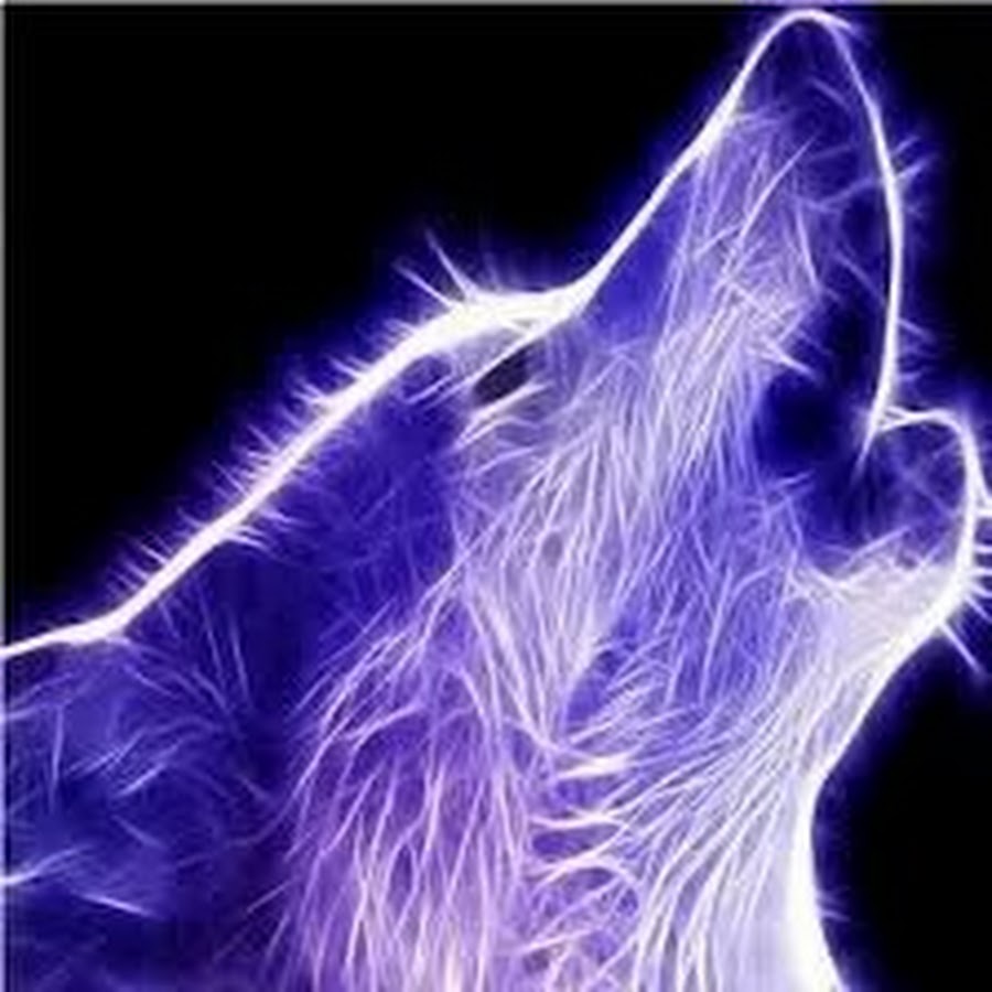 Alpha Wolf HD - YouTube