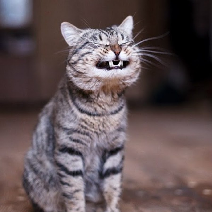 ������� ��������, ������� ����������� �������� ����������