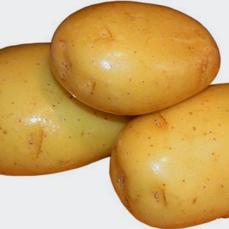 картофель. картофель без фона. картофель. картофель ребенку. картошка с овощами.