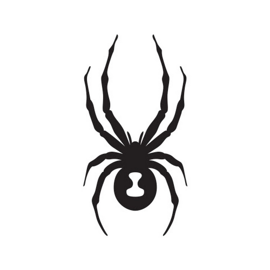 Spyder YouTube