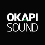 OkapiSoundOfficial Net Worth