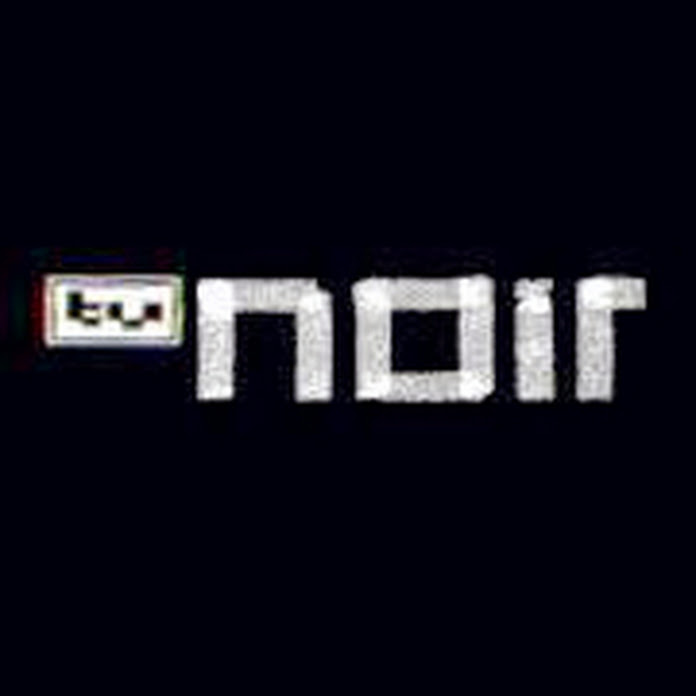 TV Noir Net Worth & Earnings (2024)
