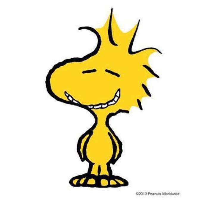 Same Jeff Hwang Net Worth & Earnings (2026)