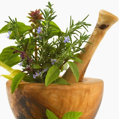 Plantas Medicinales Y Sus Propiedades Curativas Youtube Stats