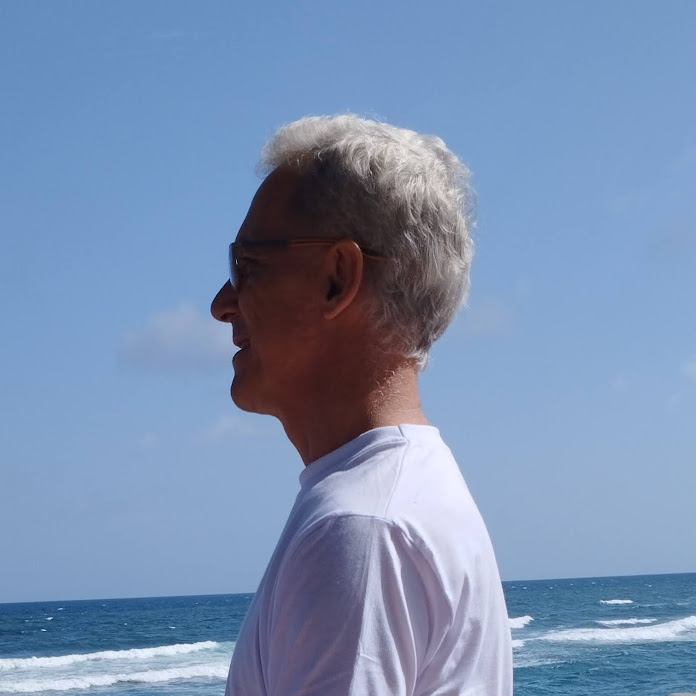 Dante Animaciones 2D Net Worth & Earnings (2026)