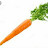the comment carrot