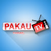 What could Pakau TV channel buy with $5.03 million?