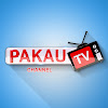 What could Pakau TV channel buy with $5 million?