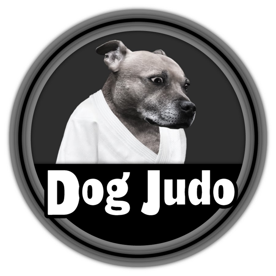 Dog Judo YouTube