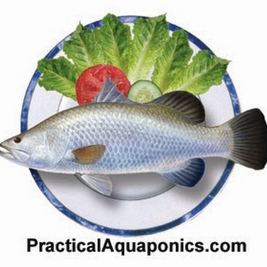 murray hallam's practical aquaponics. - youtube