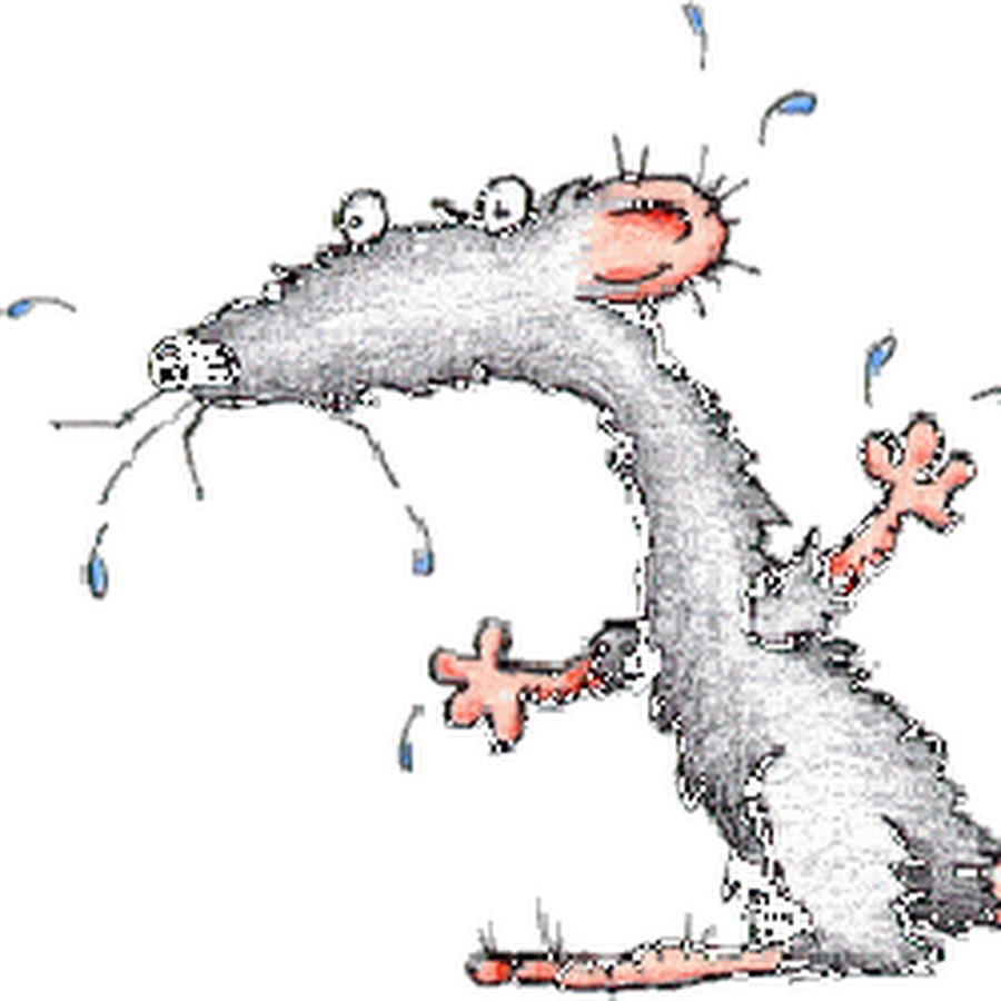 Drowned Rats YouTube