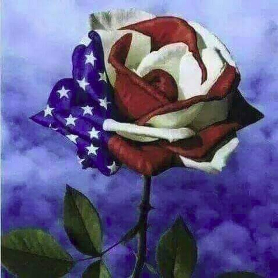 american-rose-youtube
