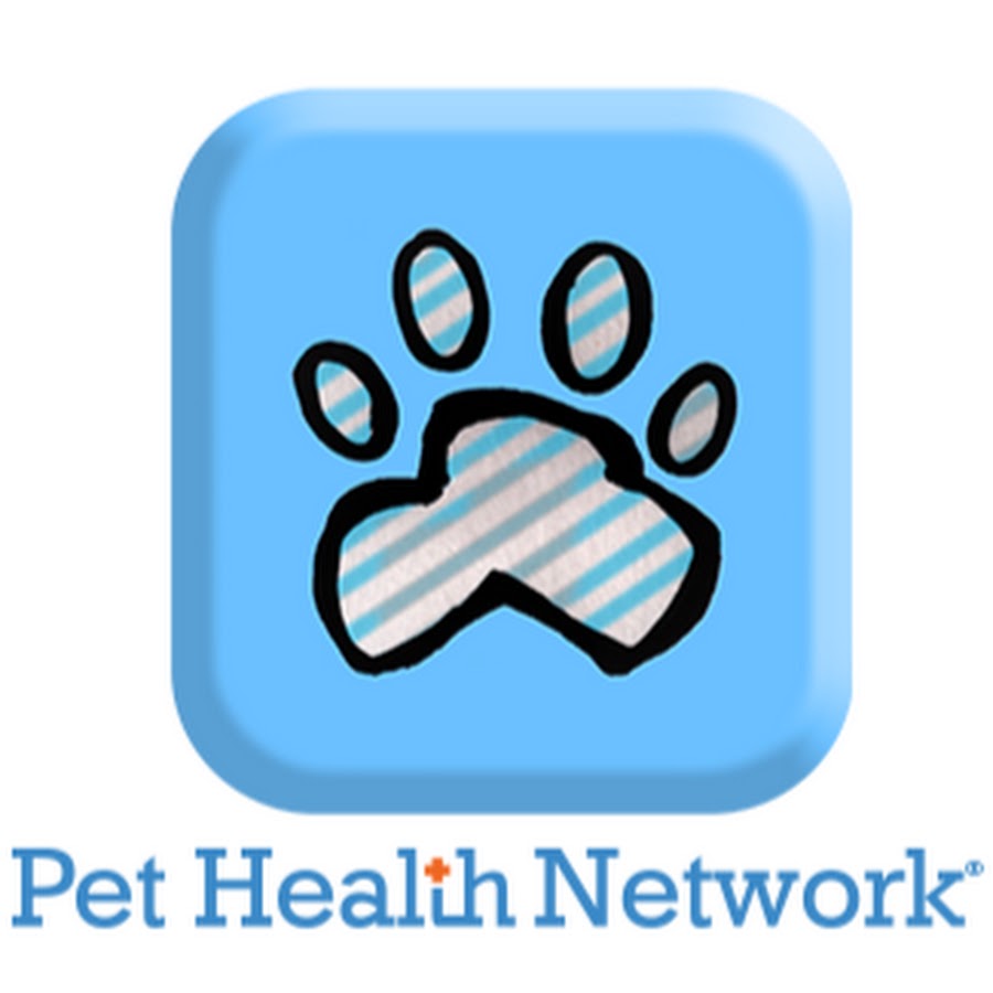 Pet Health Network YouTube