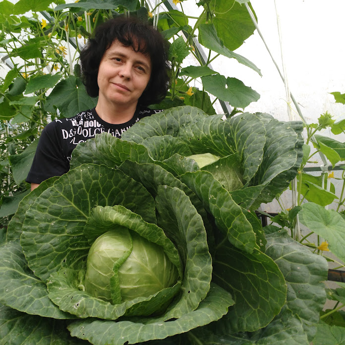 Чудо Огород Коротко и ясно Net Worth & Earnings (2026)